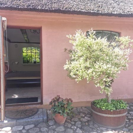 Liebhaveri I Saerklasse Årup Extérieur photo