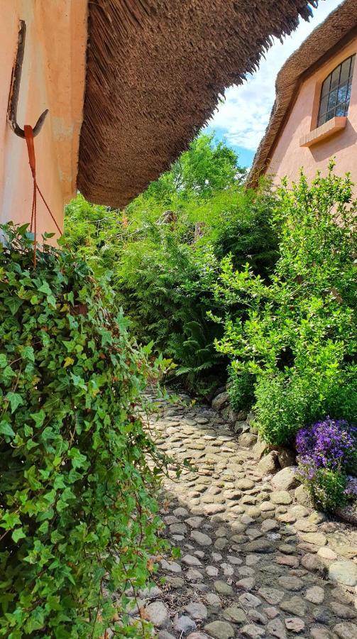 Liebhaveri I Saerklasse Årup Extérieur photo
